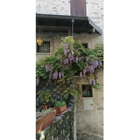 Relax In アパート *